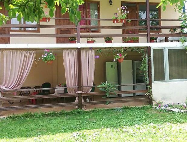 Эльза Hotel Gudauta Exterior foto